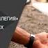 Отстрелять нельзя помиловать Редколлегия о проблеме бездомных собак