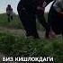 БИЗ КИШЛОКДАГИ МЕХНАТКАШ КИЗЛАР ГА КИМ ХАМ ЛАЙК БОСАРДИ Rek