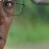 Death Of A Unicorn Official Trailer HD A24
