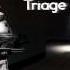 Half Life 2 Triage At Dawn Remix