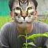 Kucing Minta Susu Comedy Funny Candy