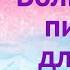 С днем рождения Ева Видеописьмо от команды проекта