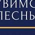 Митр Иларион Алфеев Херувимская песнь Metr Hilarion Alfeyev Cherubic Hymn