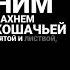 а у меня секретов много а слушатель один Aesthetic Musica Recommended Music рек
