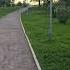 Jonona Music Musica Song Cover Spotify Moscow Automobile Chill природа Nature