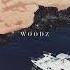 Pool Woodz Ft Sumin Unofficial Instrumental