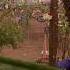 Toumani Sidiki Diabate BBC 2 Live Session Glastonbury 2014
