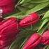 С 8 Марта Music Housemusic музыка Remix Spring Flowers весна цветы март