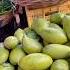 Acha Mango Yt Yt Food Trendingshorts Viralvideo Asmr Youtube Youtubeshorts Youtube