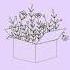 Massobeats Lavender Royalty Free Lofi Music