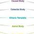 Understanding The 7 Layers Of The Human Aura