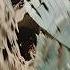 China Devastated By 7 2 Earthquake First Video Footage Captured