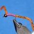 Squirmy Wormy Fly Pattern