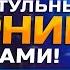 Чемпион России в НОЧНОМ ТИТУЛЬНИКЕ 17 06 2025