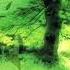 432 HZ Hiroshi Yoshimura Quiet Forest Full Album HQ