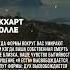 Экхарт Толле Эго это отождествление с формой Shorts Shortsvideo Youtubeshorts