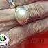 Golden SouthSea Pearl Is Best For Brahspati Chandra Youtubeshorts Viralshorts Success Pearl