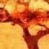 Benedictus Cover