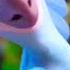 Blue And Jewel Rio Edit Rio Blue Birds