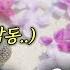 유퀴즈온더블럭 폭싹 빠졌수다 믿고 듣는 아이유 믿고 보는 이지은 그녀가 찾고 싶은 인생의 균형