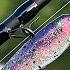 The Next Great Crappie Fishing Pattern YOU Should Be Making
