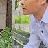 Make Bamboo Chicken Coop To Expand Farm Ly Vy Ca