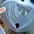 10 Animals I Didn T Know Existed
