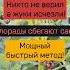 Колорадский жук убежит просто и эффективно сад огород рекомендации колорадскийжук вредители дача