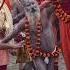 Om Namah Shivay