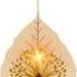Happy Vesak Vesak Day