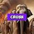 How Clever Was Amir Timur History Shorts