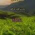 Surah Al Falaq English Translation With Arabic