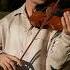 Experience Violin Cover By Zotov