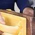Top 5 Uses For A Band Saw How To Use A Bandsaw