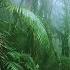 Rainshower