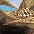 The Biology Of Monster Hunter Wilds Full Documentary