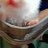 FIRST Look Of Our Guide COCO Cocoloco Coco Cocomelon Cat Catlover Kitten