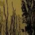R L Raymond Apathetic Fallacy