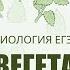 ВЕГЕТАТИВНЫЕ ОРГАНЫ РАСТЕНИЙ для ЕГЭ по БИОЛОГИИ Ботаника ЕГЭ БИОЛОГИЯ 2025 Freedom