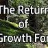 The Return Of Old Growth Forests