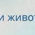 Конно спортивная школа Тулпар