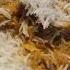 Basmati Chamal Rice