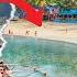 Is The Party Over For Goa Why Are Tourists Ditching The State Vantage With Palki Sharma