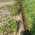 How To Edge Lawn Edging Howtoedgelawn Edging