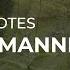 TOP 20 Quotes About Manners Daily Quotes Quotes For You Quotes For Whatsapp