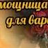 Похищенная помощница Варвара роман