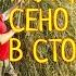 КАК ПРАВИЛЬНО СЛОЖИТЬ СТОГ СЕНА МОЯ ЛЮБИМАЯ УСАДЬБА