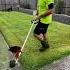 Why Did He Kill This Grass