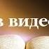 Видеобиблия Числа Глава 32