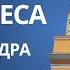 12 30 Свята Меса з київської катедри св Олександра